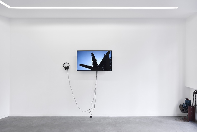 Louis-Cyprien Rials, vue d'exposition Par la fenêtre risée, Galerie Eric Mouchet, Paris, 2019. Photo : Rebecca Fanuele