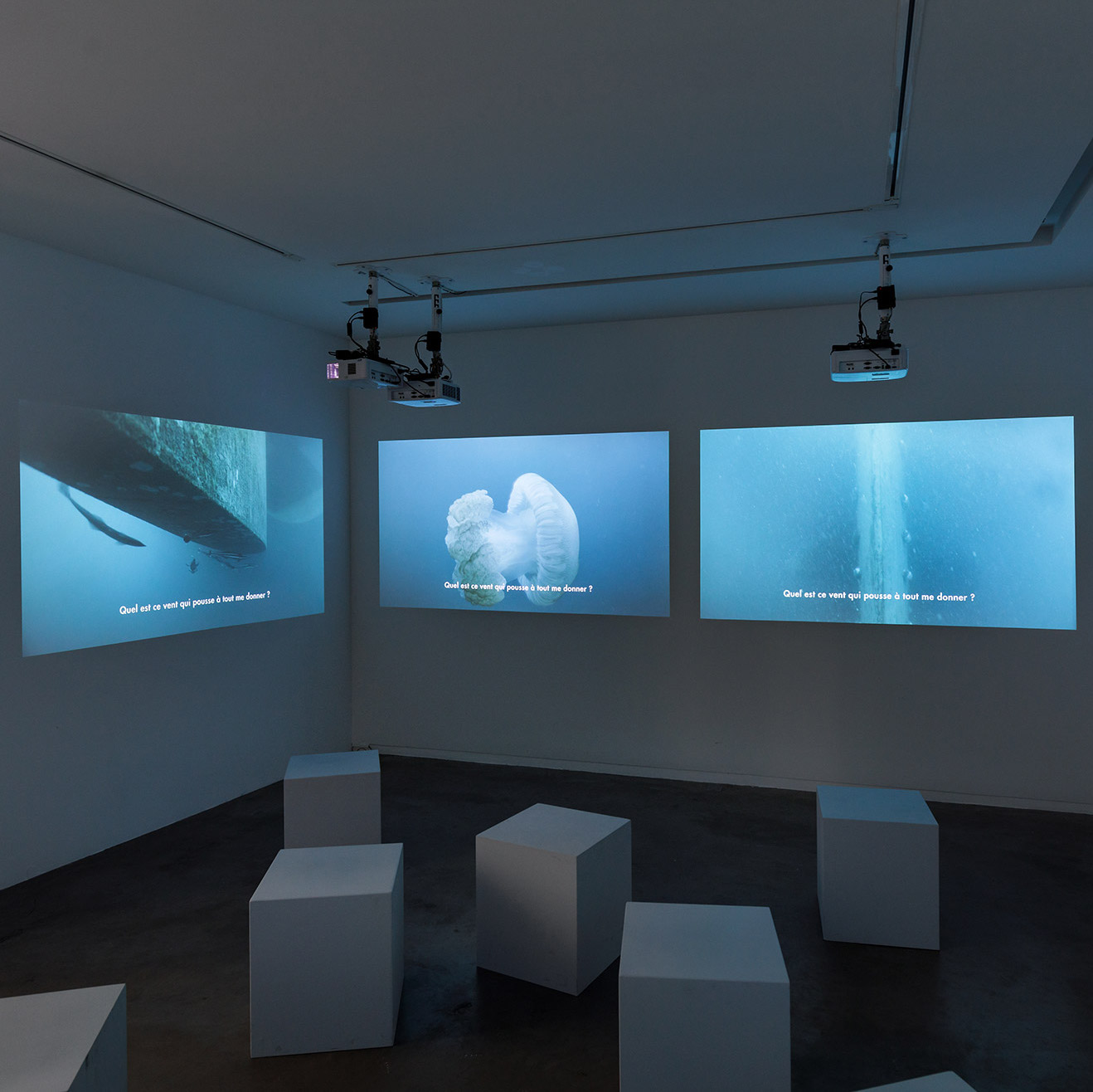 Capucine Vever, vue de l'installation "Dunking Island", La peau de l'horizon qui nous entoure, Galerie Eric Mouchet, Paris, 2022. Credit photo : Salim Santa Lucia