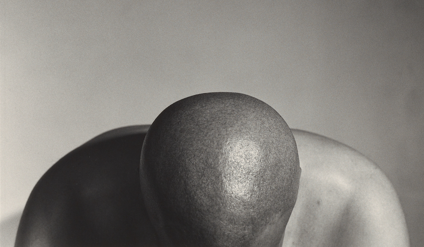 ROBERT MAPPLETHORPE